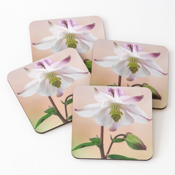 Item preview,  Aquilegia designed and sold by John Ray.