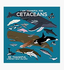 Ich bin dankbar für Cetaceans Fotodruck