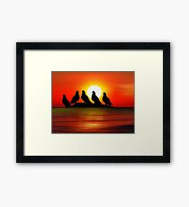 Birds at Sunset point Framed Print
