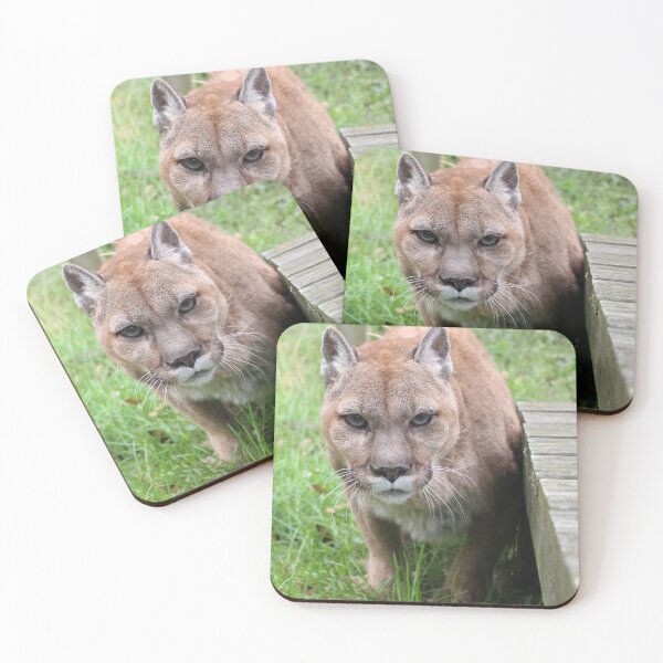 Item preview, Cougar - Mercury designed and sold by AmurUncia.