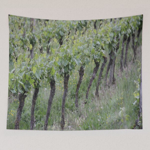 Item preview, Vine land alcohol drink grappes agriculture	 designed and sold by EstelleRossetti.