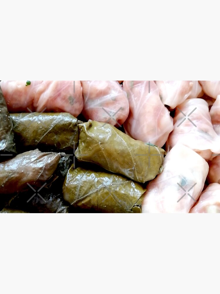 Romanian sarmale with vines and cabbage, traditional food, spring rolls by CWartDesign