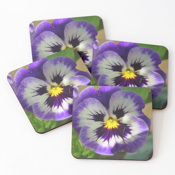 Item preview, Pretty Pansy designed and sold by Kirkman Photography.