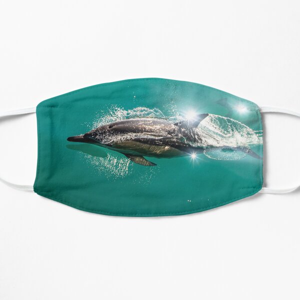 Kaikoura Dolphin Flat Mask