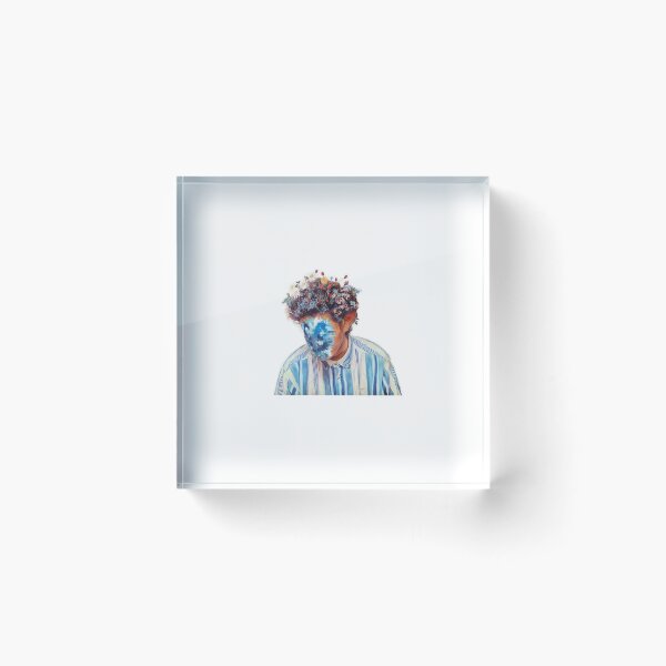 Item preview, Hobo Johnson  designed and sold by Sarahmontano.