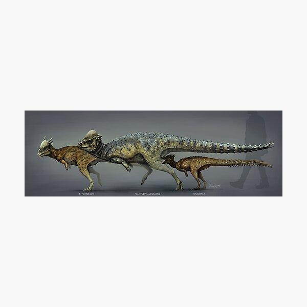 dracorex stygimoloch