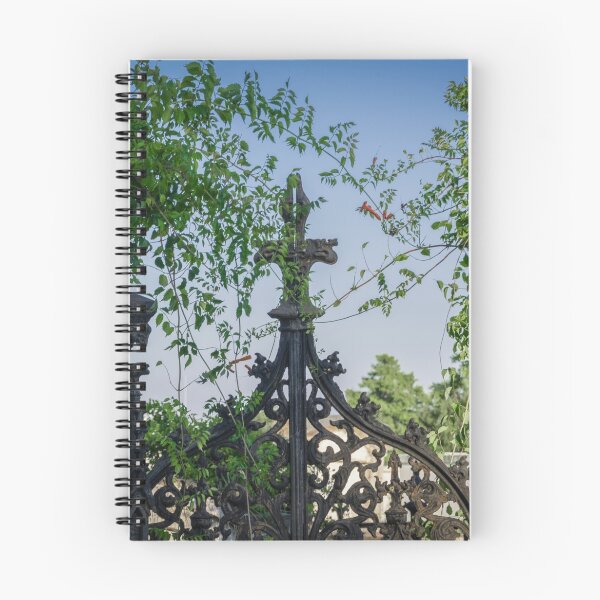Item preview, Authority Over the Grave designed and sold by AhArtography.