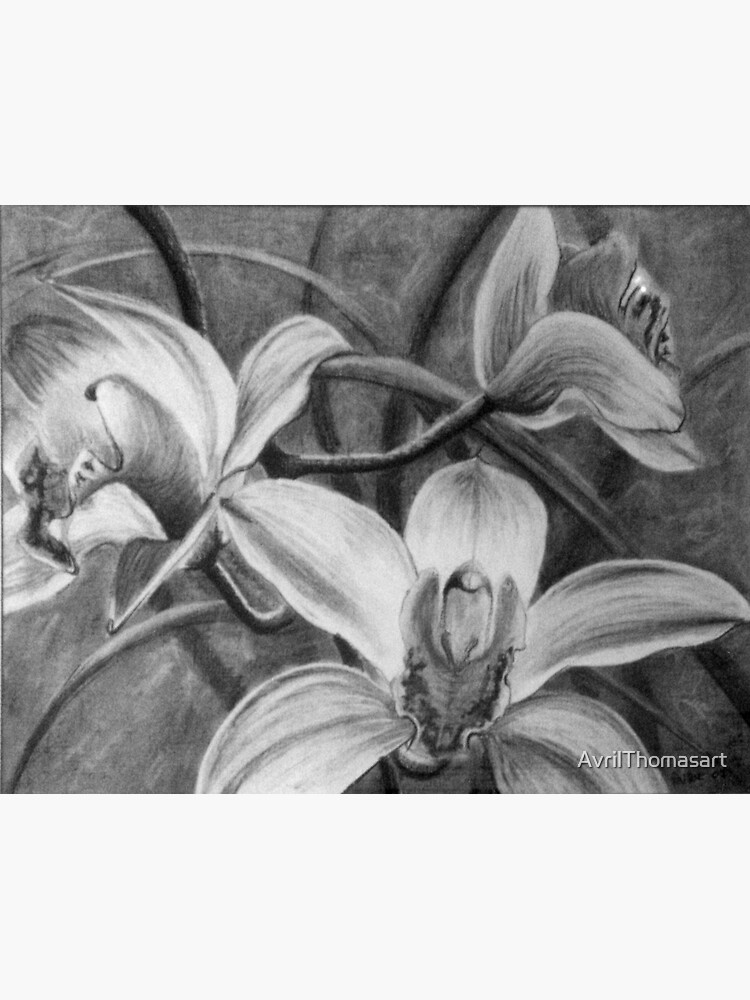 Thumbnail 3 of 3, Sticker, Orchid 2 - Drawing  by Avril Thomas - Adelaide / South Australia Artist designed and sold by AvrilThomasart.