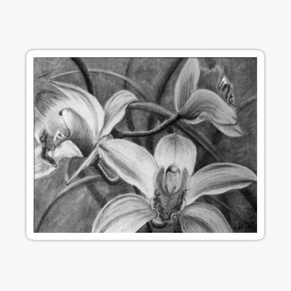 Item preview, Orchid 2 - Drawing  by Avril Thomas - Adelaide / South Australia Artist designed and sold by AvrilThomasart.