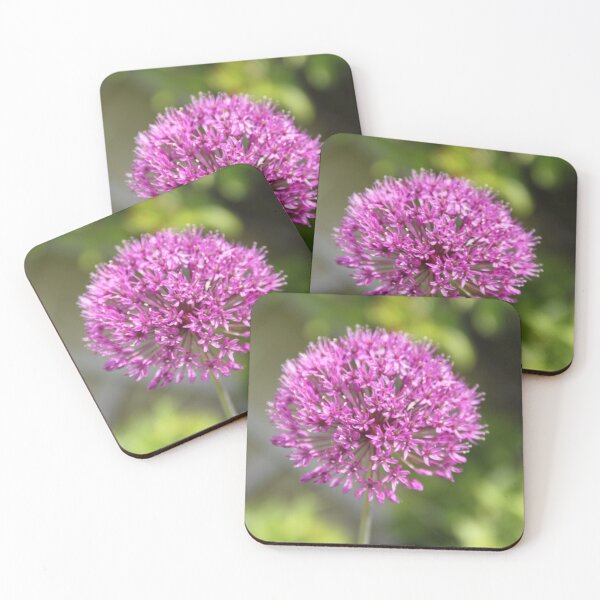 Item preview, Allium pink opening flower head bud	 designed and sold by EstelleRossetti.