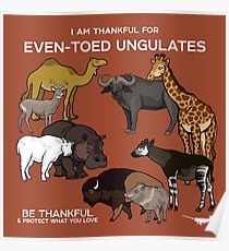 I Am Thankful For Even-Toed Ungulates Poster