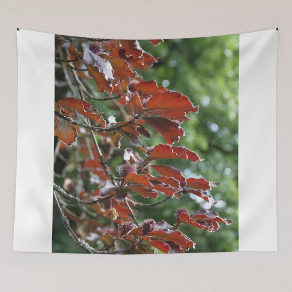 Item preview, Purple common beech tree spring branches buds	 designed and sold by EstelleRossetti.