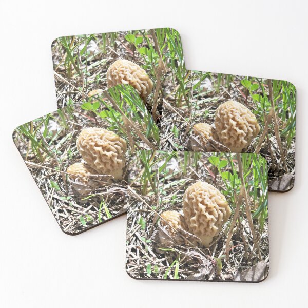 Item preview, Morels designed and sold by CJGrimes.