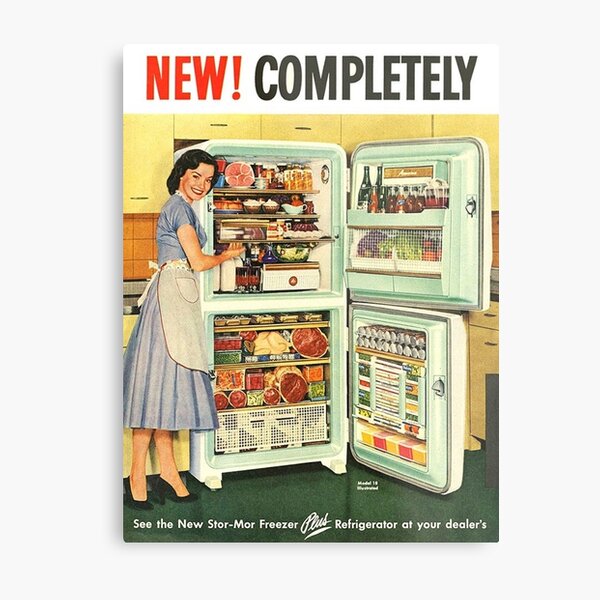 fifties fridge