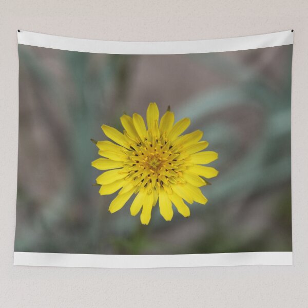 Item preview, Meadow showy goat's beard salsify yellow flower	 designed and sold by EstelleRossetti.