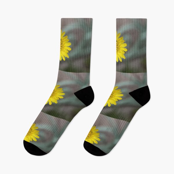 Item preview, Meadow showy goat's beard salsify yellow flower	 designed and sold by EstelleRossetti.