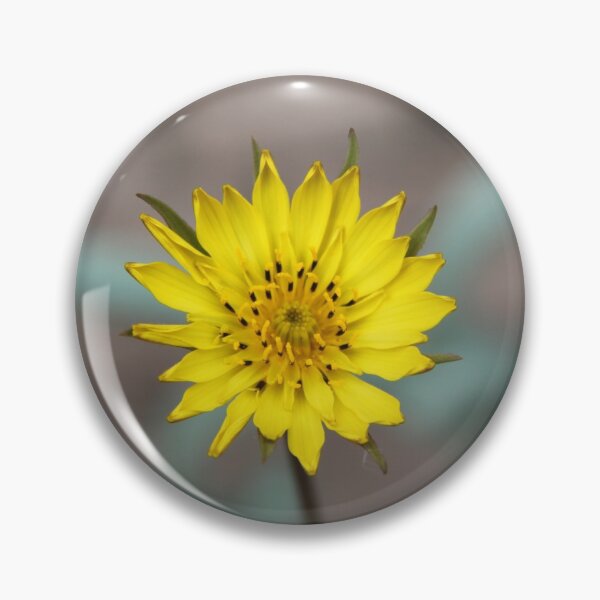 Item preview, Meadow showy goat's beard salsify yellow flower	 designed and sold by EstelleRossetti.