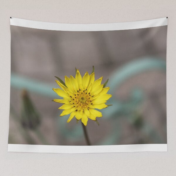 Item preview, Meadow showy goat's beard salsify yellow flower	 designed and sold by EstelleRossetti.