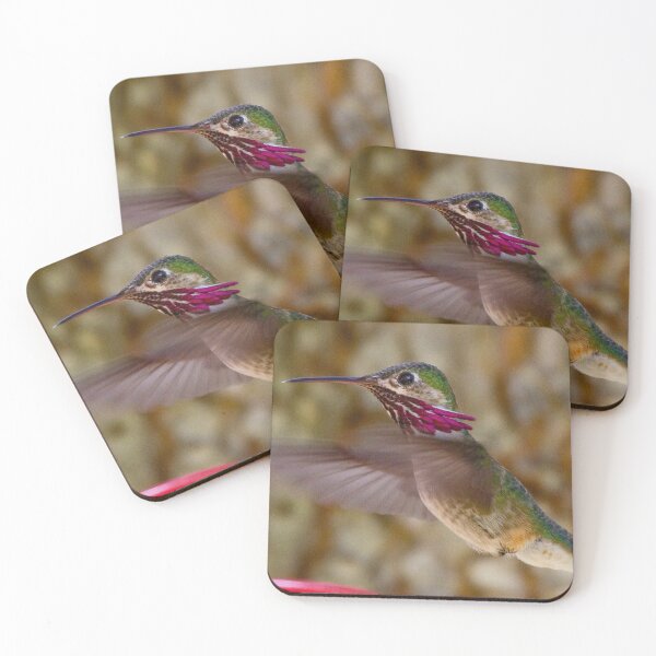 Item preview, Calliope Hummer designed and sold by Ken McElroy.