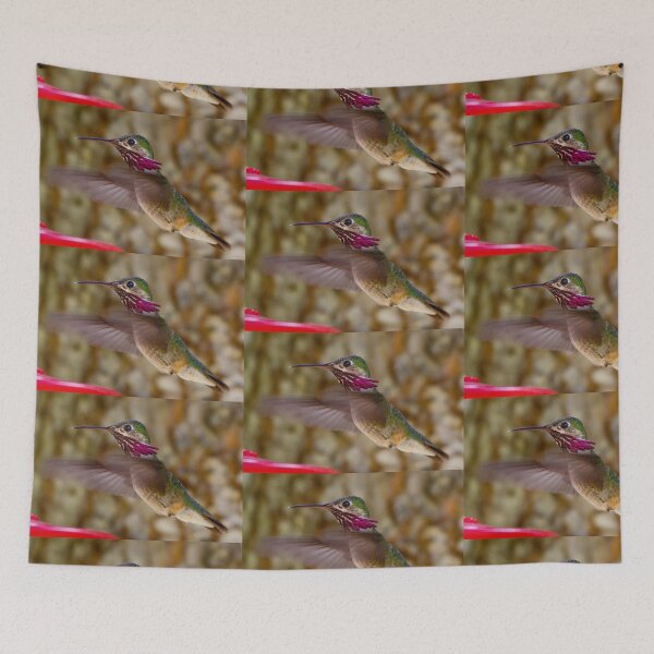 Item preview, Calliope Hummer designed and sold by Ken McElroy.