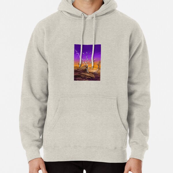 cactus jack stargazing hoodie
