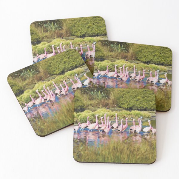 Item preview, Greater Flamingos at Slimbridge Wetland Centre, UK designed and sold by Andy Harker.