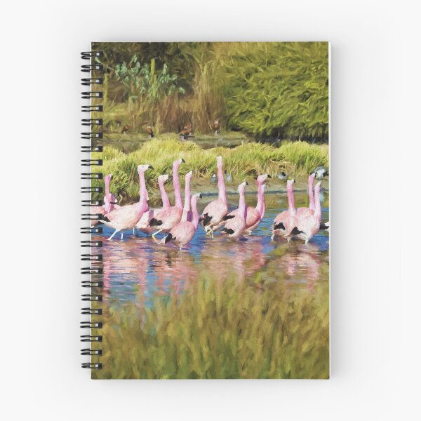 Item preview, Greater Flamingos at Slimbridge Wetland Centre, UK designed and sold by Andy Harker.