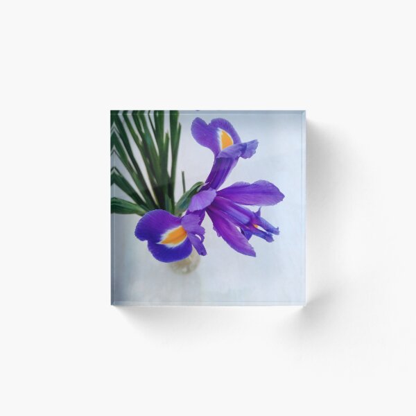 Item preview, Azul iris designed and sold by TreacleDesigns.