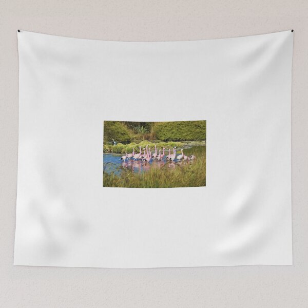 Item preview, Greater Flamingos at Slimbridge Wetland Centre, UK designed and sold by Andy Harker.