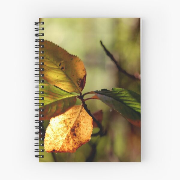 Item preview, Autumn Leaves designed and sold by cuprum.