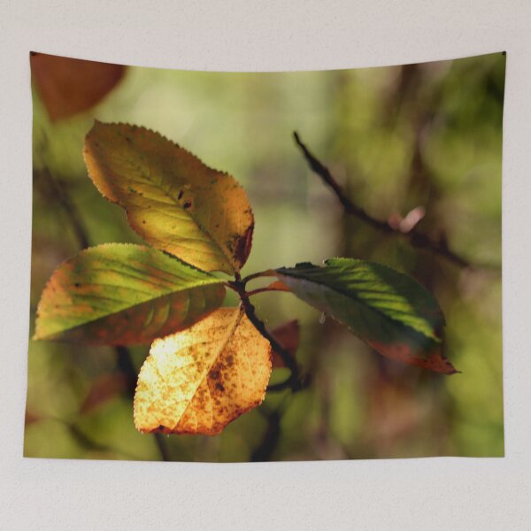 Item preview, Autumn Leaves designed and sold by cuprum.