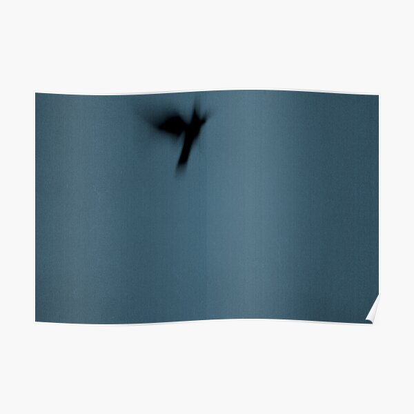 Big Crow Curtin University Poster