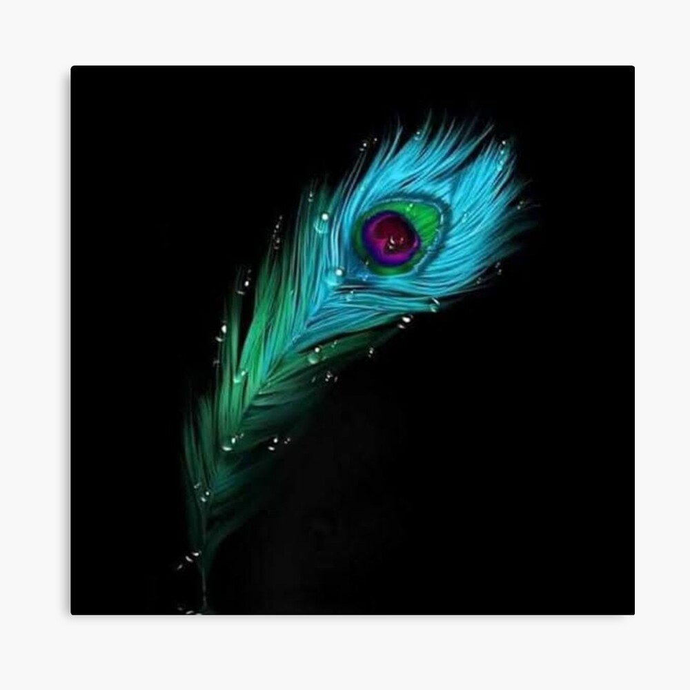 Peacock feather - Also lord krishna's Symbol