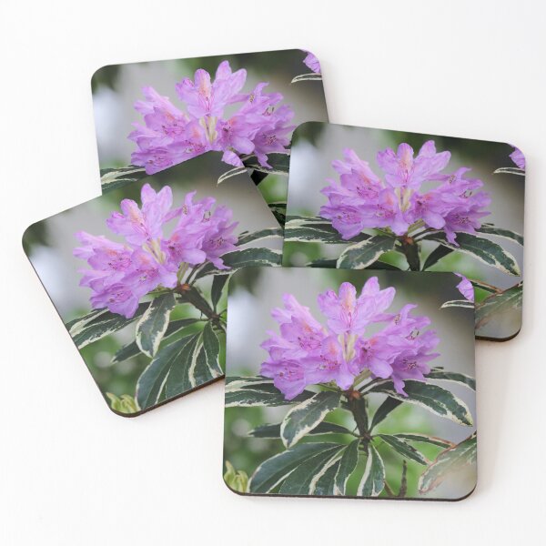 Item preview, Rhododendron Beauty designed and sold by cuprum.