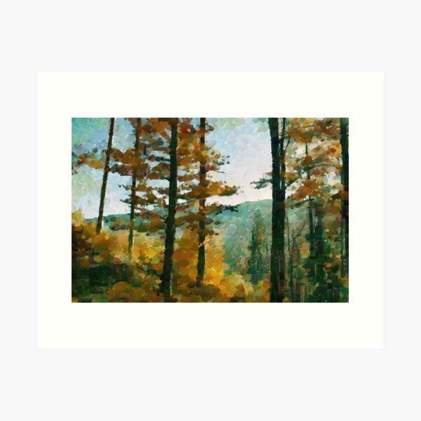 beskidy forest Art Print