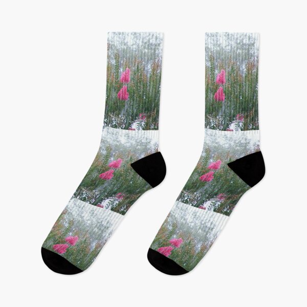 Item preview, Crepe Myrtles in Rain designed and sold by kristalcurt.