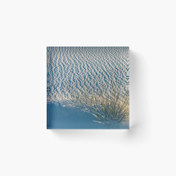 Item preview, Yucca in White Sand designed and sold by jvnimages.