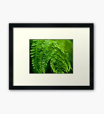 Green Focus Framed Print