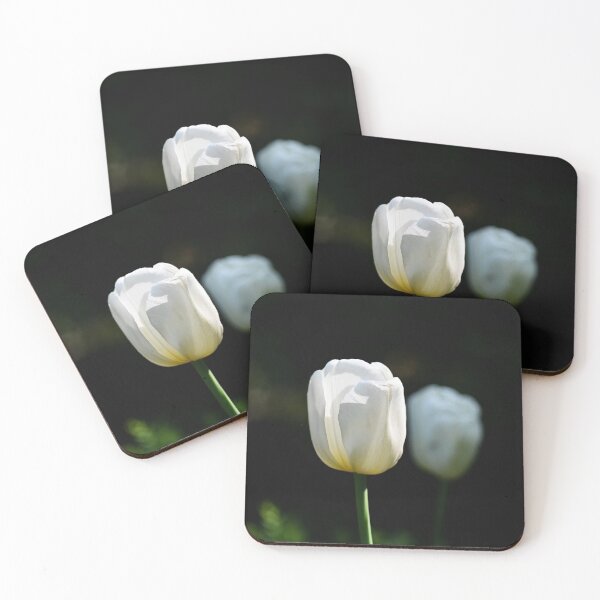 Item preview, White Rose designed and sold by amr4874.