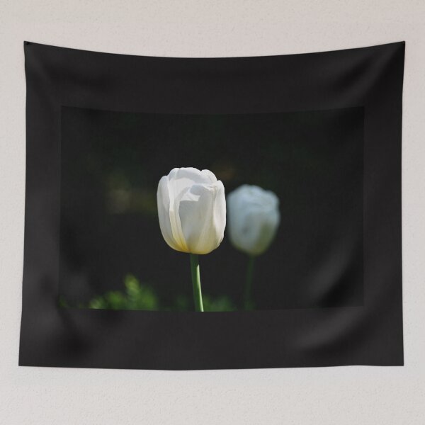 Item preview, White Rose designed and sold by amr4874.