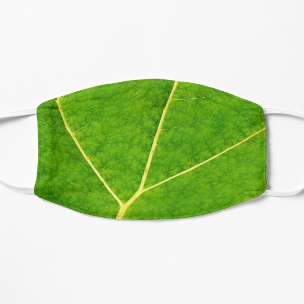 Green leaf veins texture Mask