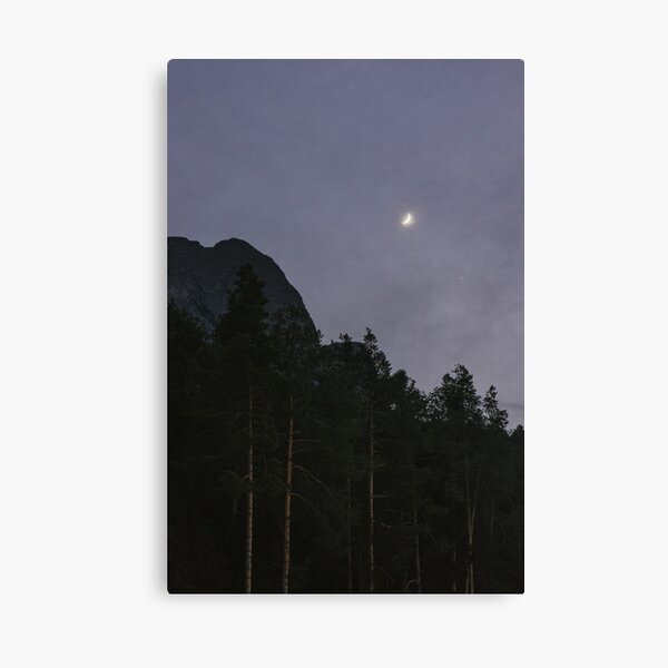 Lavander Night | Nature and Landscape Photography Canvas Print