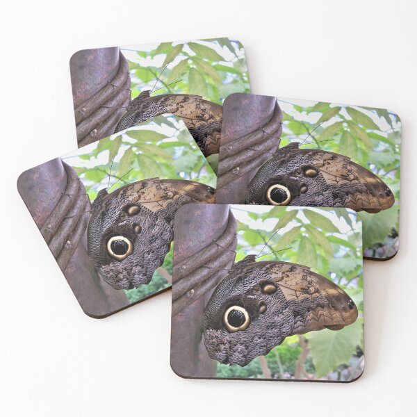 Item preview, Owl Eyes designed and sold by CJGrimes.