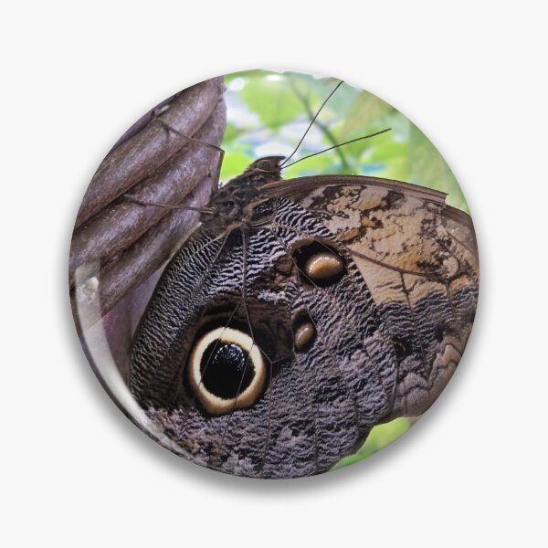 Item preview, Owl Eyes designed and sold by CJGrimes.