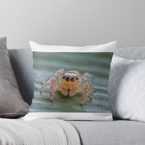 Item preview, The Jumping Spider designed and sold by Rick Playle.