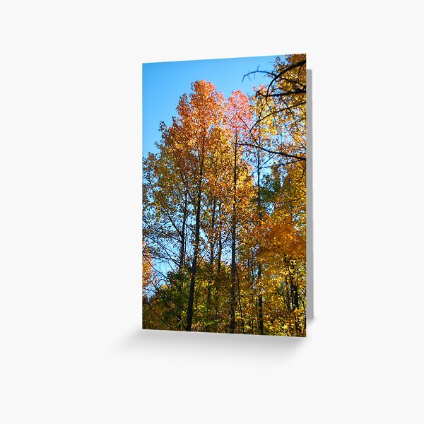 Color up high Greeting Card