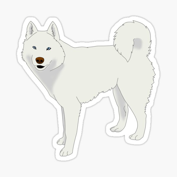 White Husky Sticker