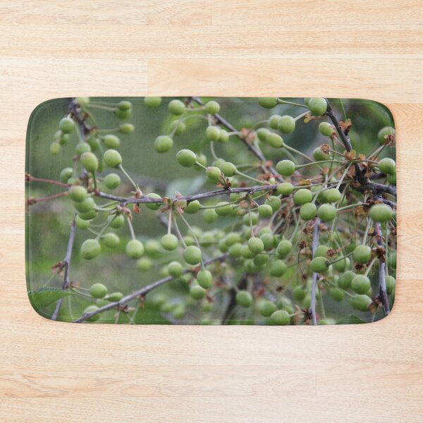 Item preview, Sour tart dwarf young cherries on a tree	 designed and sold by EstelleRossetti.