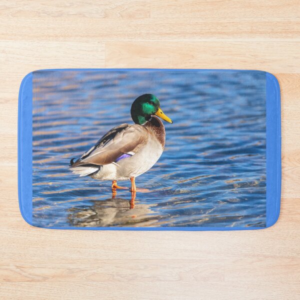 Item preview, Mallard  designed and sold by jvnimages.