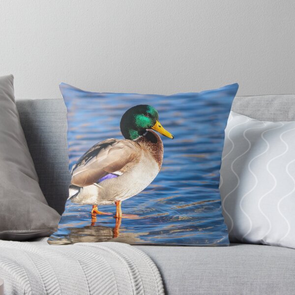 Item preview, Mallard  designed and sold by jvnimages.